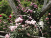 img0158.jpg