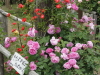 img0167.jpg