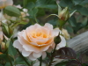 img0173.jpg