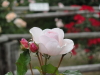 img0180.jpg