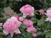 img0186.jpg