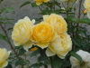 img0187.jpg