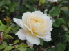 img0189.jpg