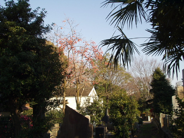 img0006.jpg