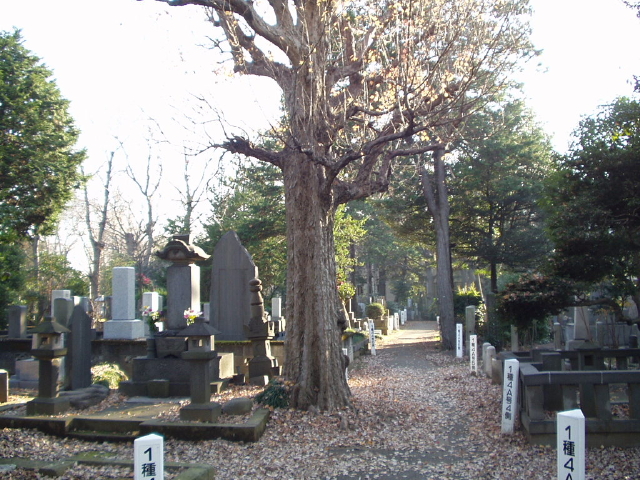 img0007.jpg
