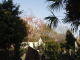 img0006.jpg