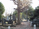 img0007.jpg