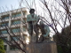 img0009.jpg