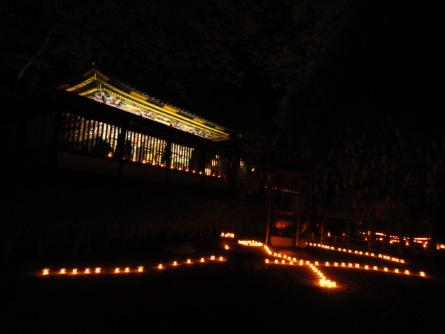 img0009.jpg