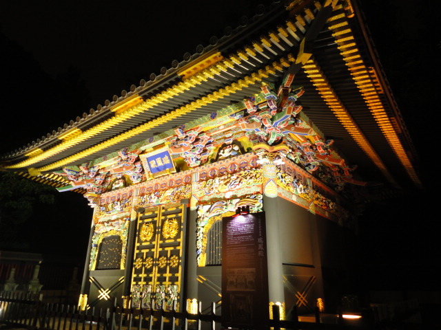 img0019.jpg