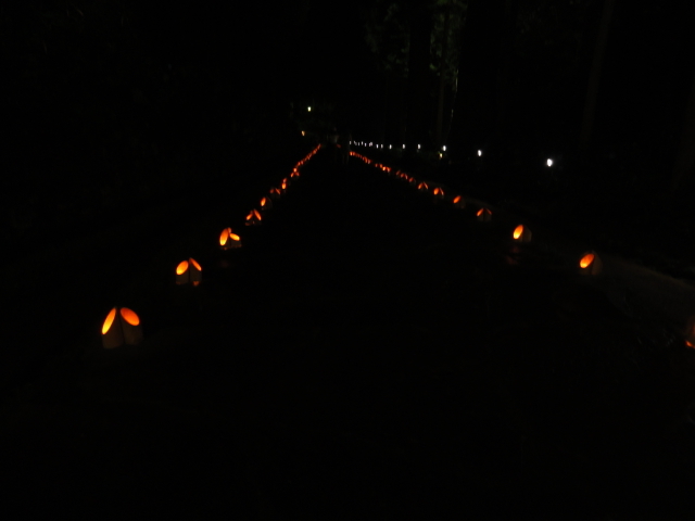 img0032.jpg
