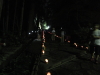 img0002.jpg