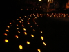 img0005.jpg
